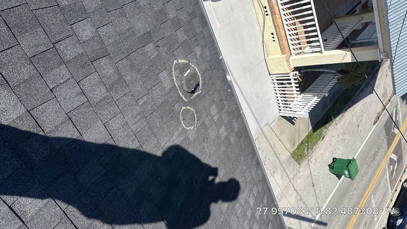 residential shingle roof replacement by Hloska Roofing in Tampa