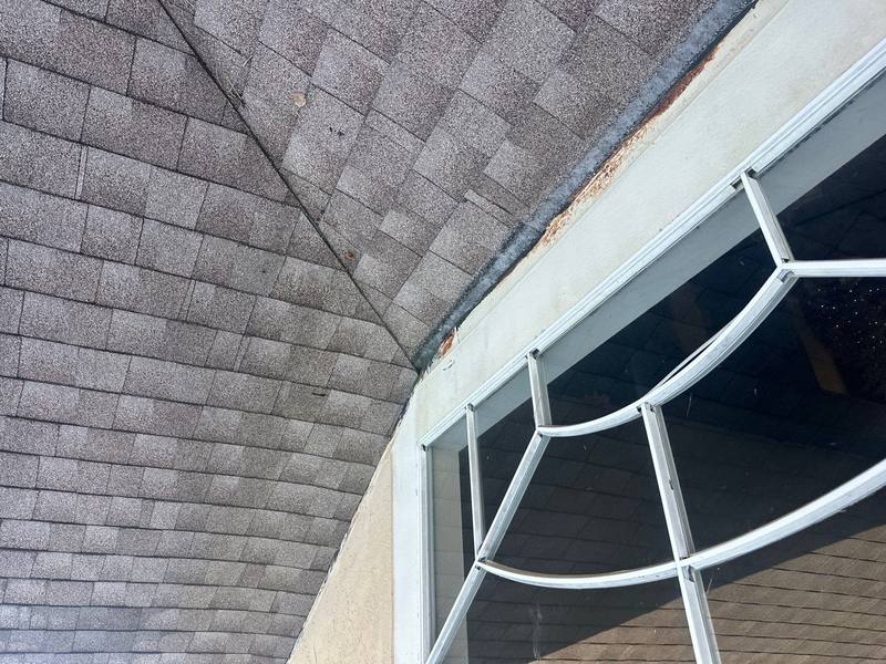 shingle roof replacement in Lutz, Florida