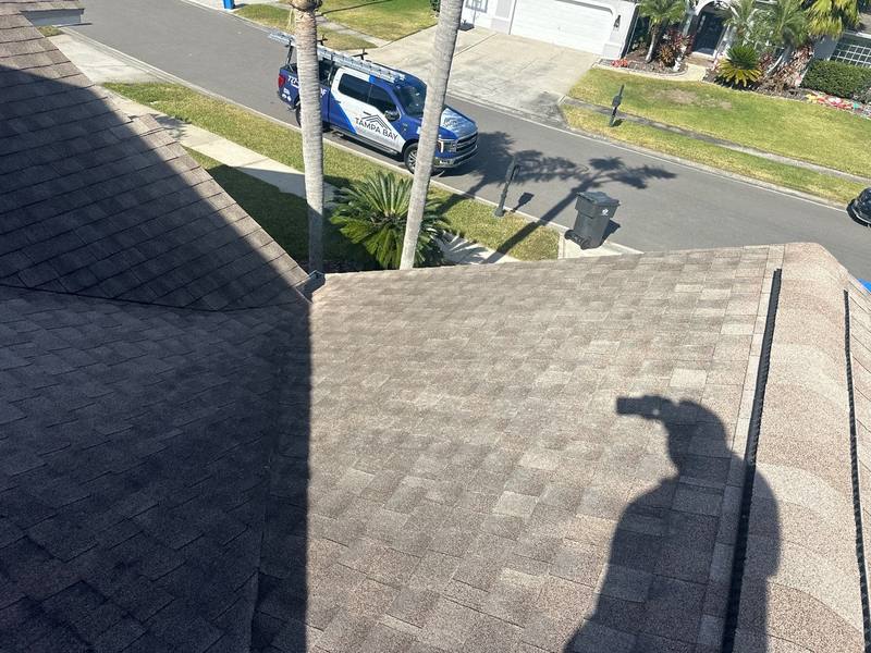 roofing project near Sparrow Ct in Lutz
