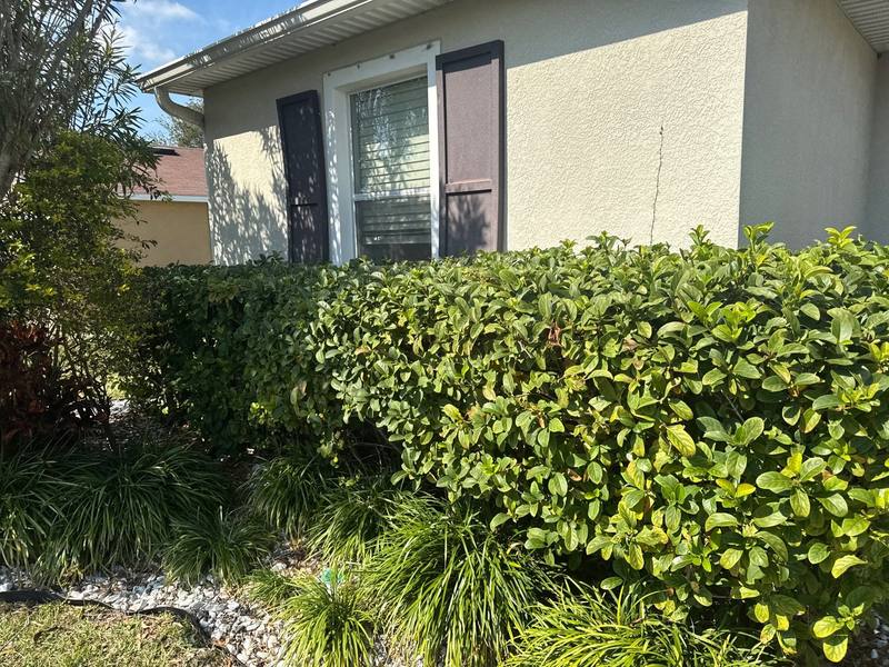 completed roofing project in St. Petersburg FL