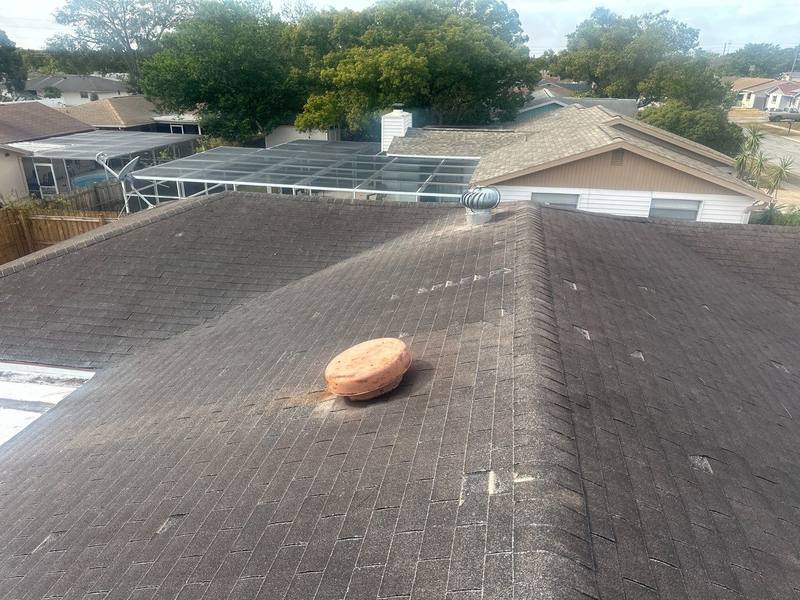 roofing project near Halifax Dr in New Port Richey
