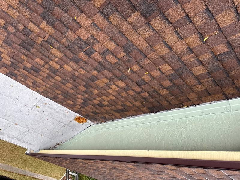 shingle roof replacement in Hudson, Florida