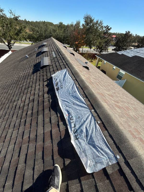 roofing project near Rapids Loop in Wesley Chapel