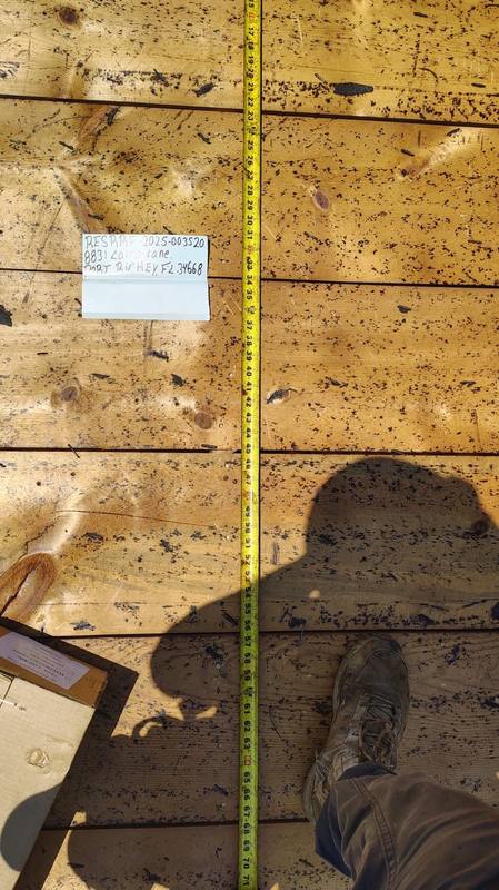residential shingle roof replacement by Hloska Roofing in Port Richey