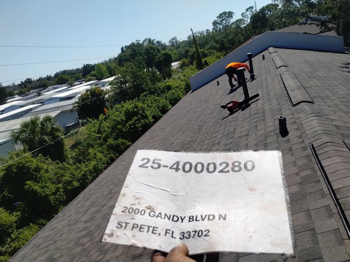 shingle roof replacement in St. Petersburg, Florida