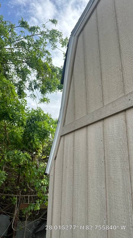 roof replacement in Dunedin, Florida