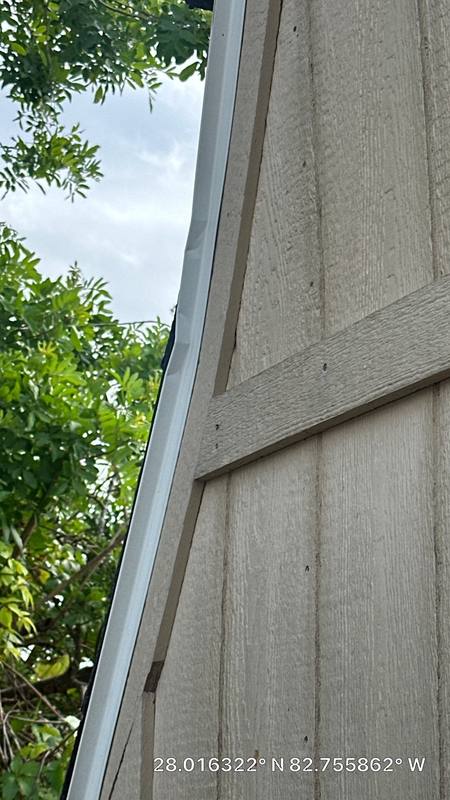 residential roof replacement by Hloska Roofing in Dunedin