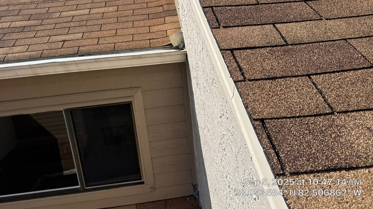 roof repair in Tampa, Florida