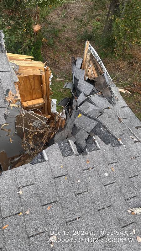 roof repair in Tampa, Florida