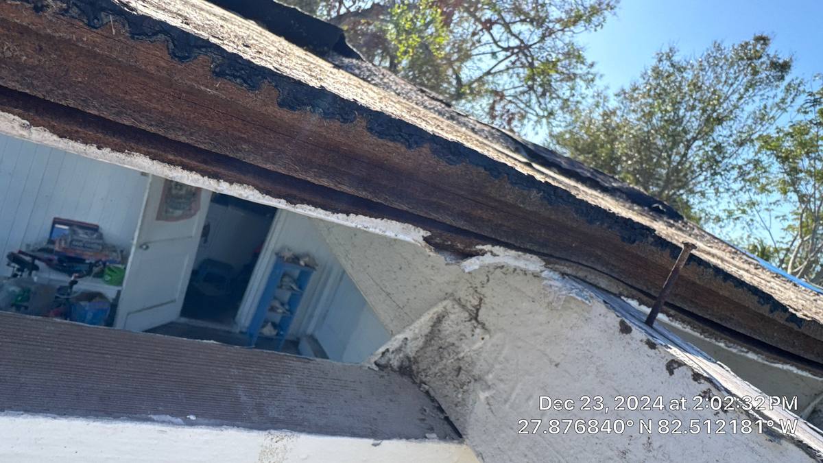 roof repair in Tampa, Florida