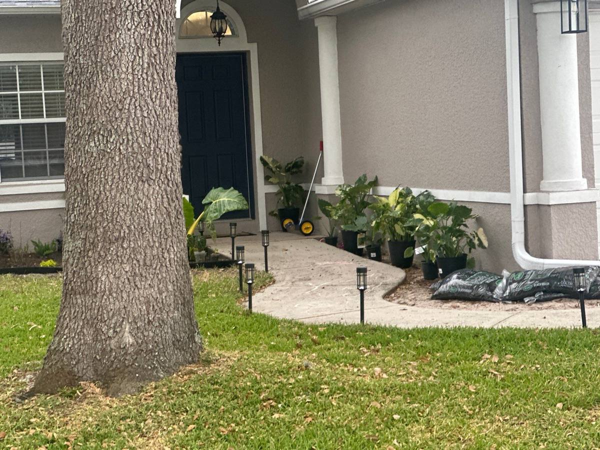 shingle roof replacement in Lutz, Florida