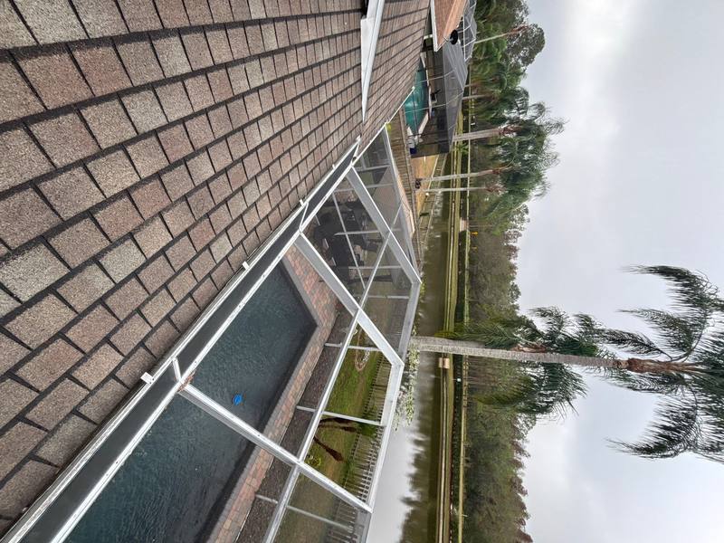 shingle roof replacement in Tampa, Florida
