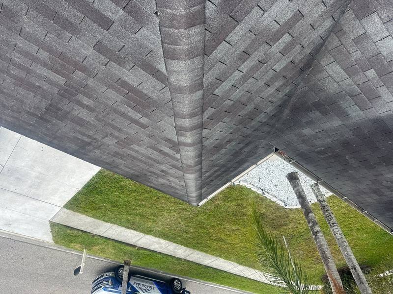 shingle roof replacement in Odessa, Florida