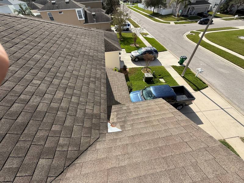 shingle roof replacement in Wesley Chapel, Florida