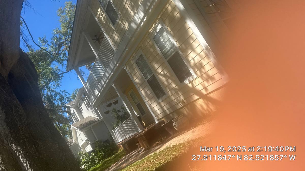 shingle roof replacement in Tampa, Florida