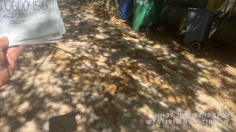 roofing project near West El Prado Blvd in Tampa