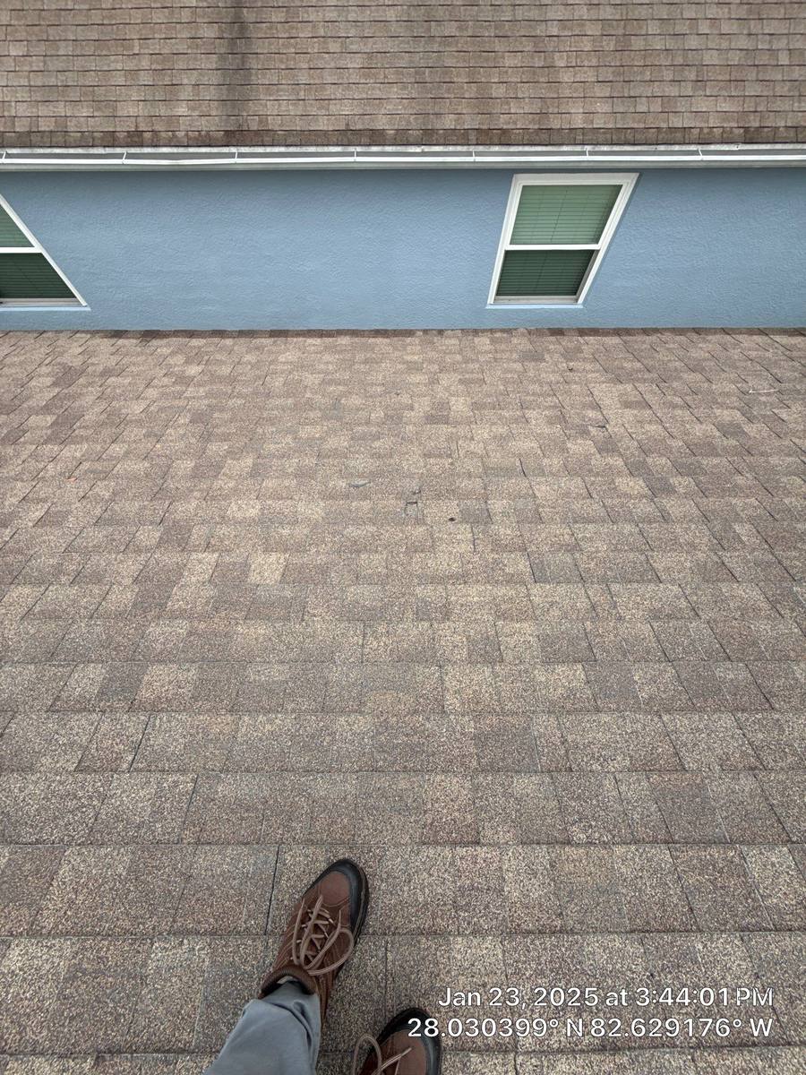 shingle roof replacement in Tampa, Florida
