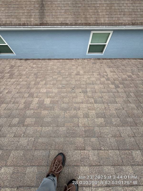 residential shingle roof replacement by Hloska Roofing in Tampa