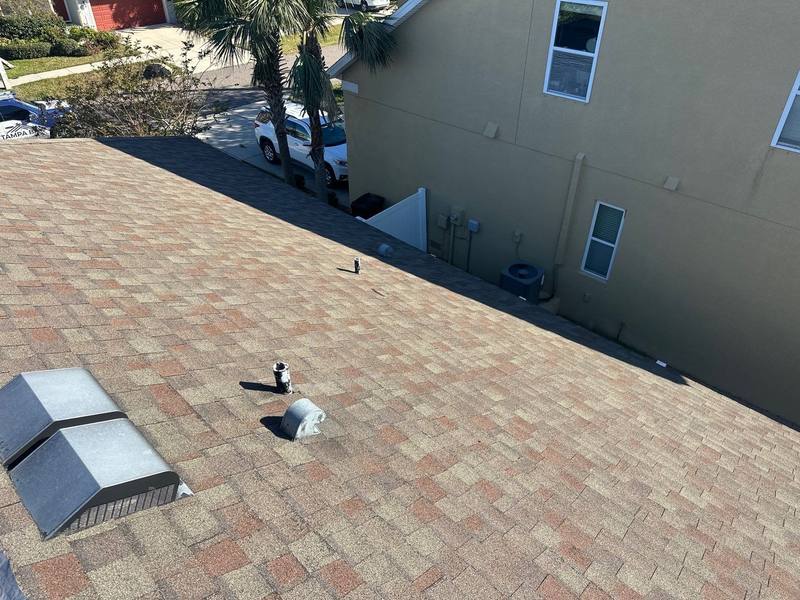 residential shingle roof replacement by Hloska Roofing in Tampa