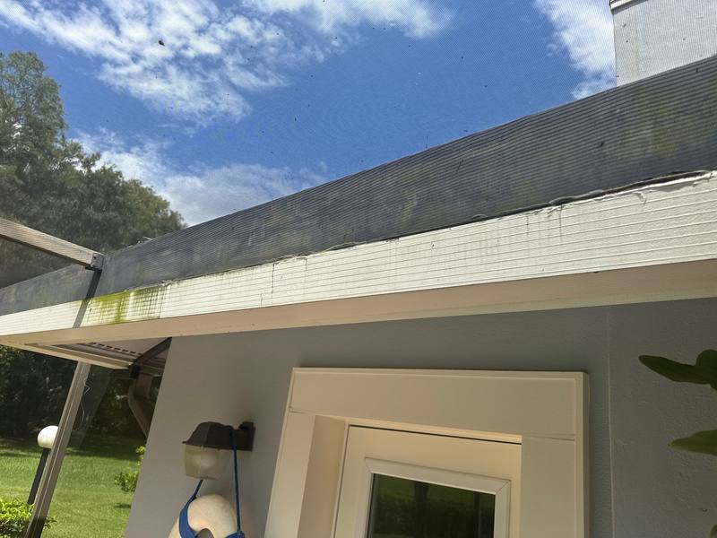 residential shingle roof replacement by Hloska Roofing in Tampa