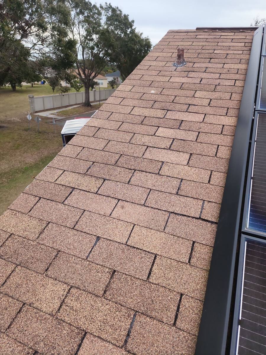 roof repair in Brandon, Florida