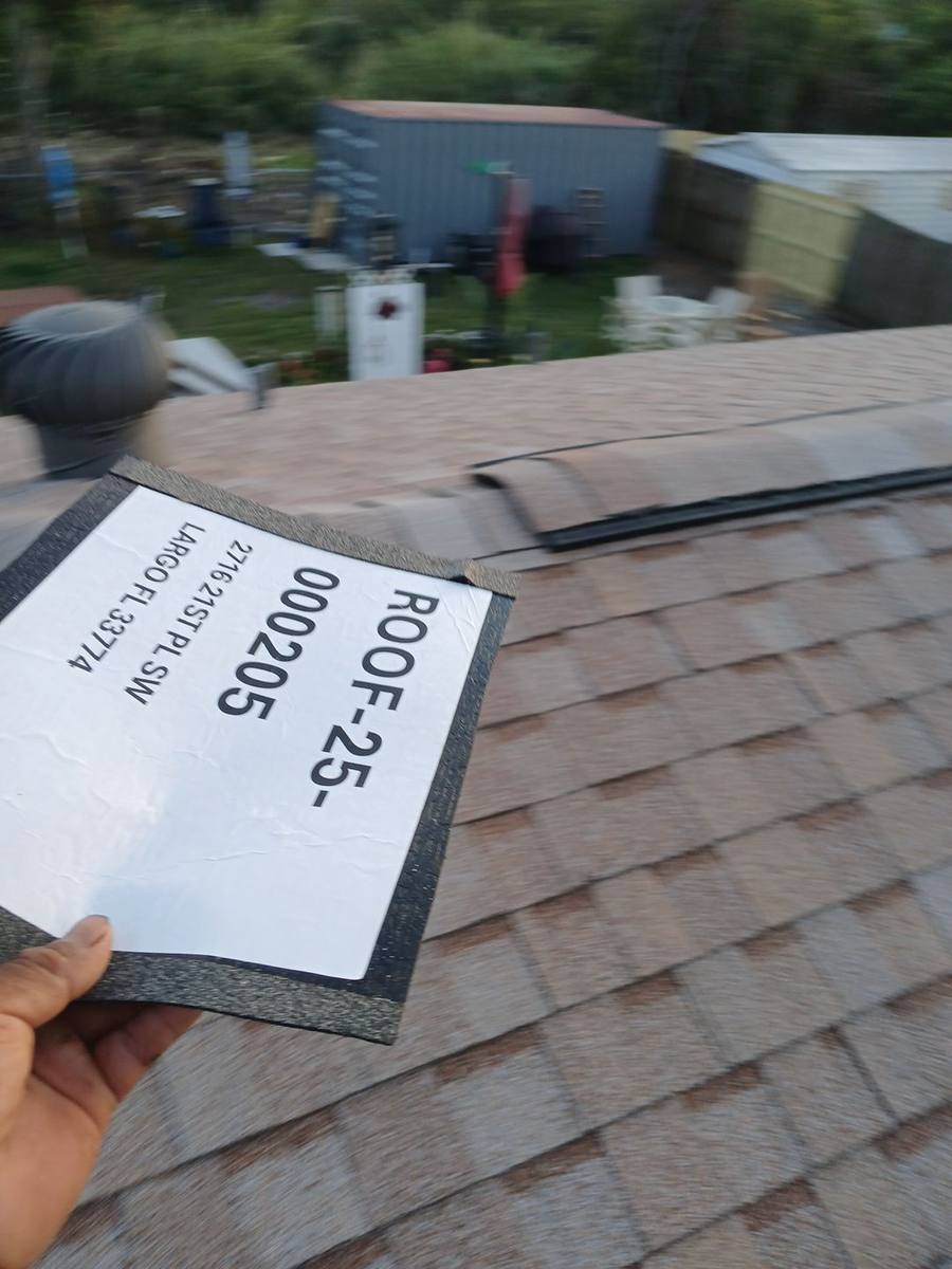 shingle roof replacement in Largo, Florida