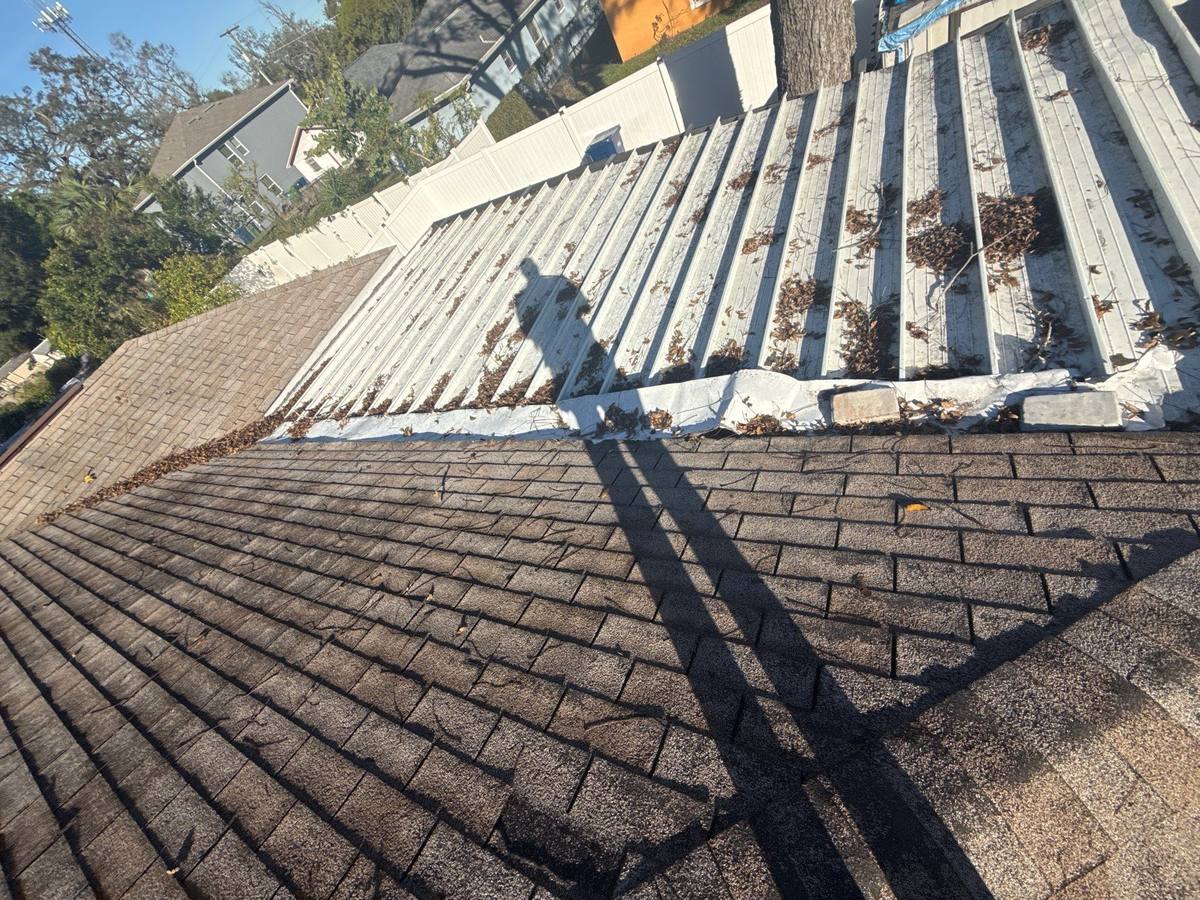shingle roof replacement in Tampa, Florida