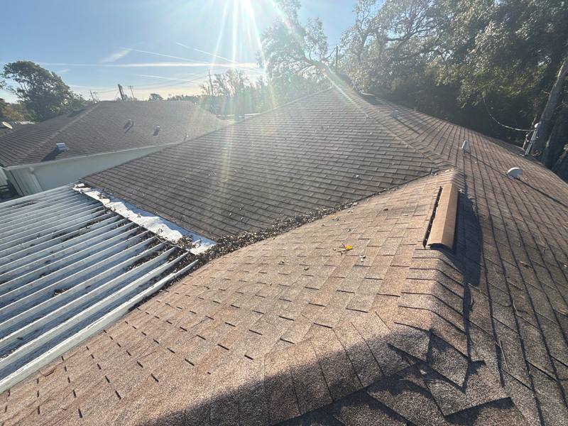 shingle roof replacement in Tampa, Florida