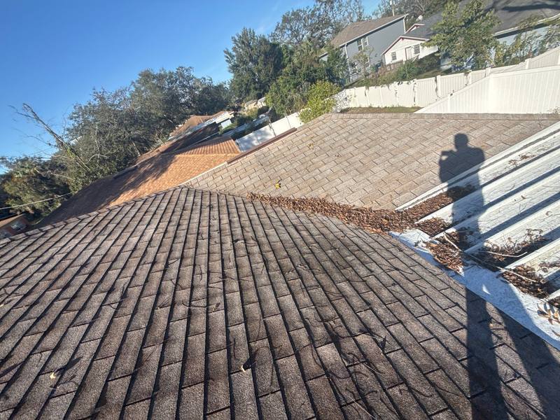 residential shingle roof replacement by Hloska Roofing in Tampa