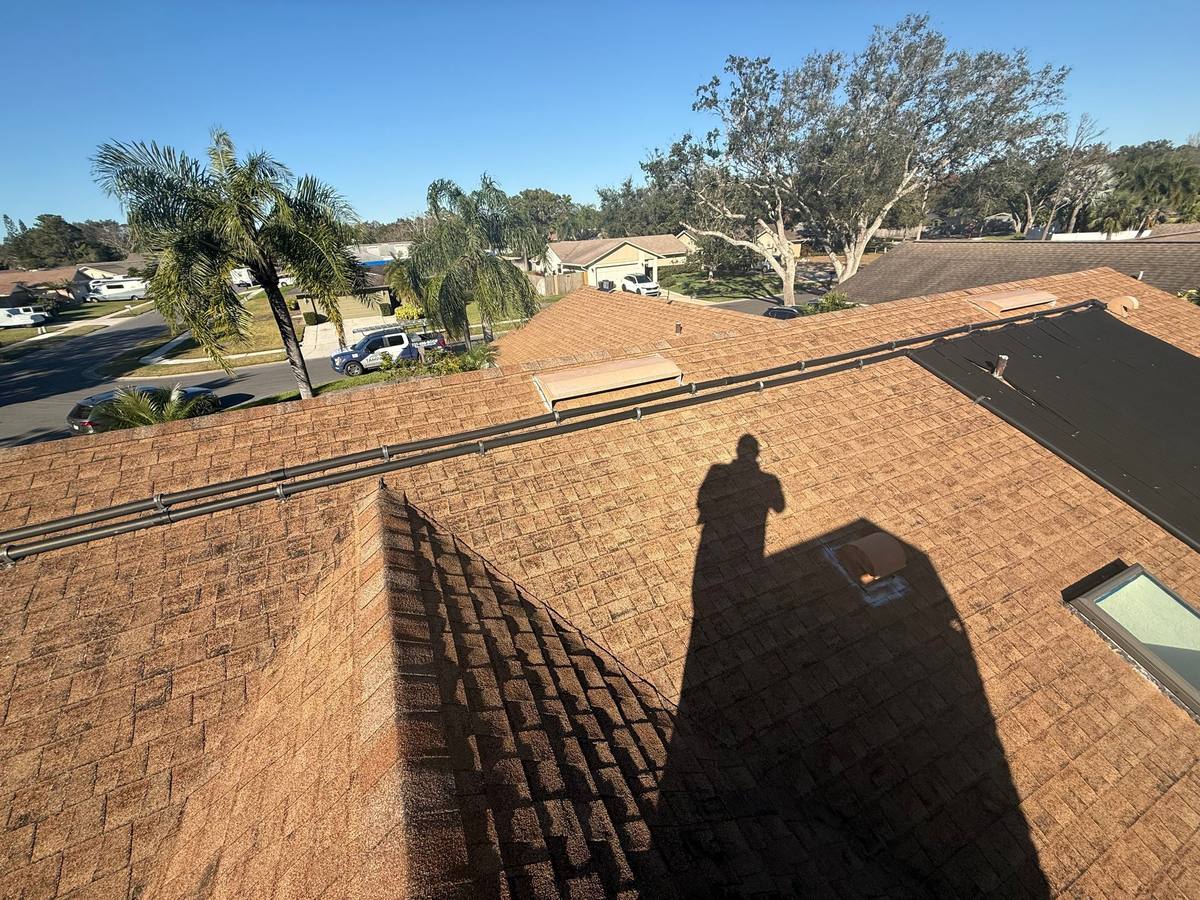 shingle roof replacement in Palm Harbor, Florida