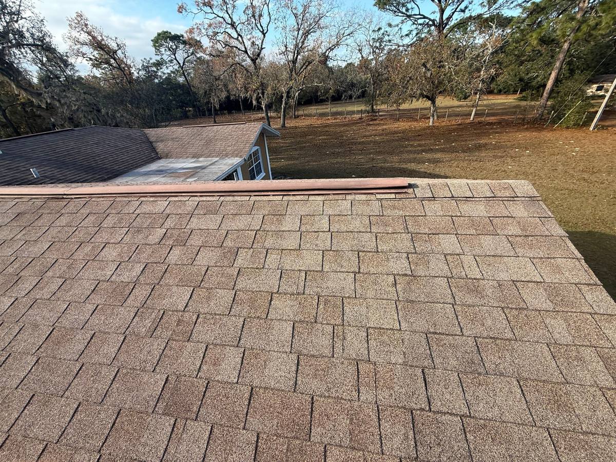 shingle roof replacement in Spring Hill, Florida