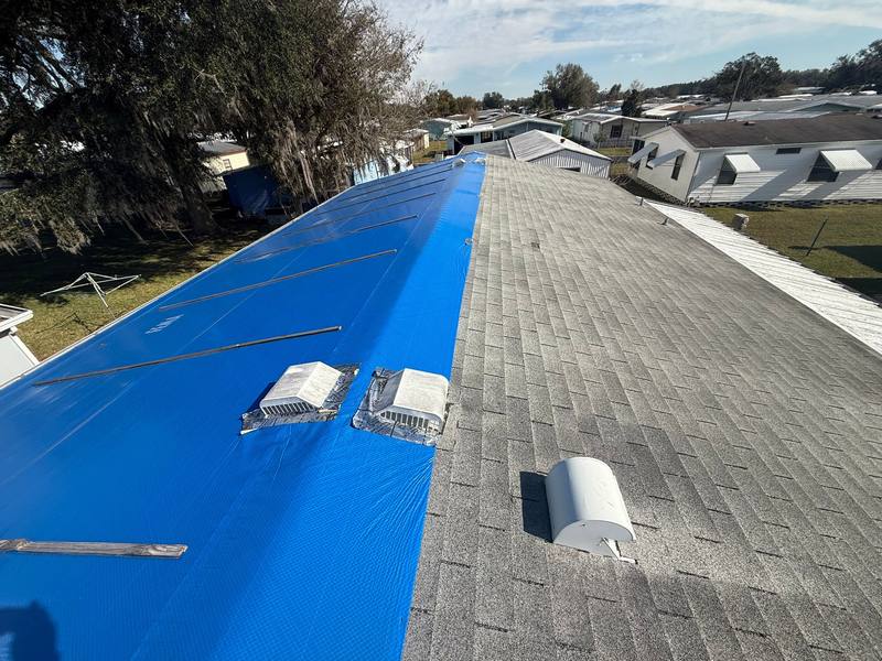 metal roof replacement in Wesley Chapel, Florida