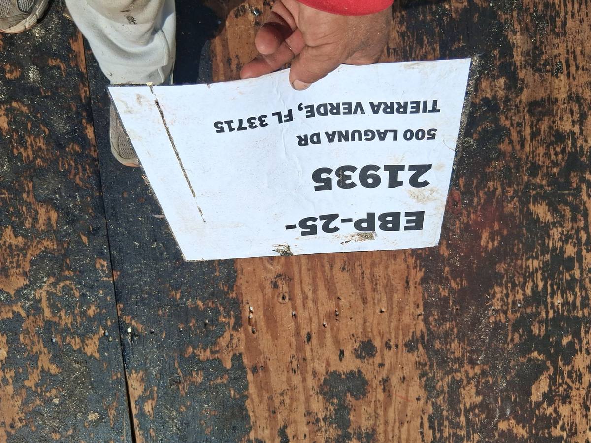 roof replacement in St. Petersburg, Florida