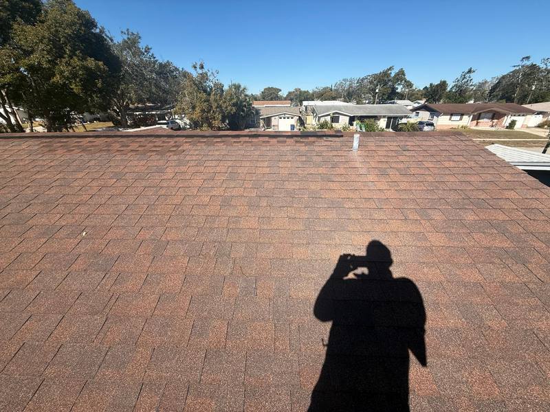 shingle roof replacement in Holiday, Florida