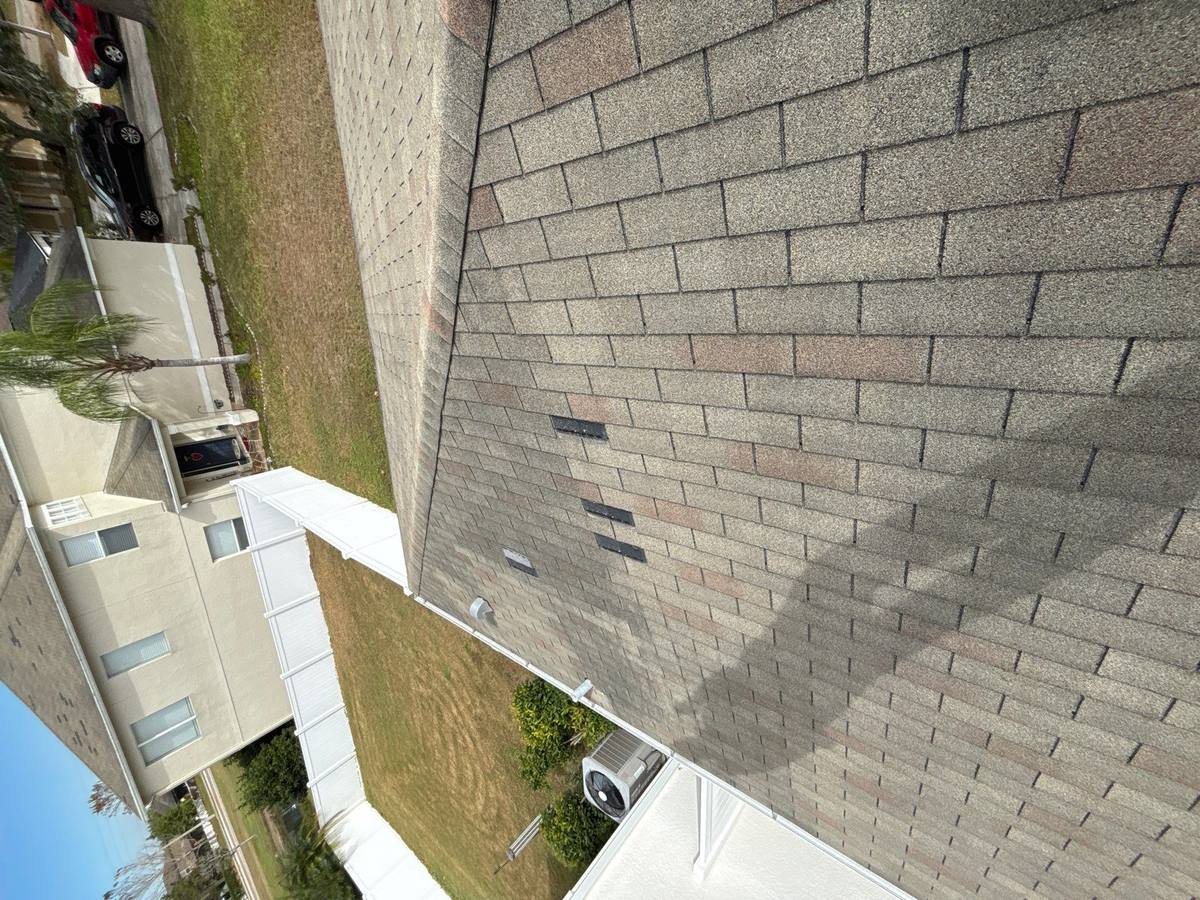 shingle roof replacement in Land O Lakes, Florida