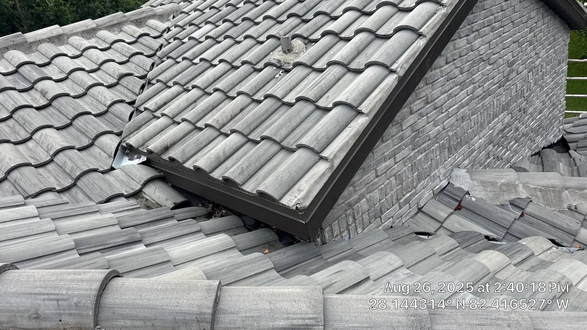 roof repair in Lutz, Florida