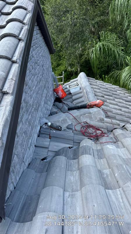 completed roofing project in Lutz FL