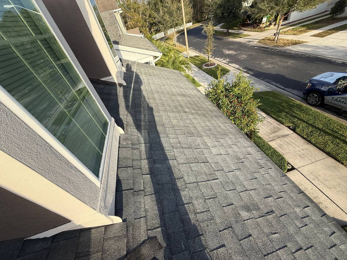 shingle roof replacement in Wesley Chapel, Florida