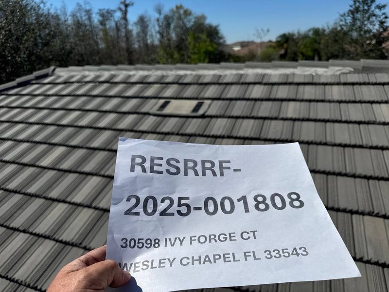 roofing project near Ivy Forge Ct in Wesley Chapel