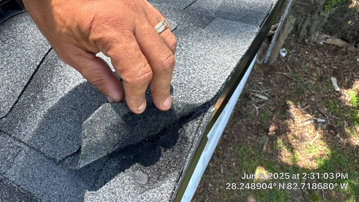 shingle roof replacement in New Port Richey, Florida