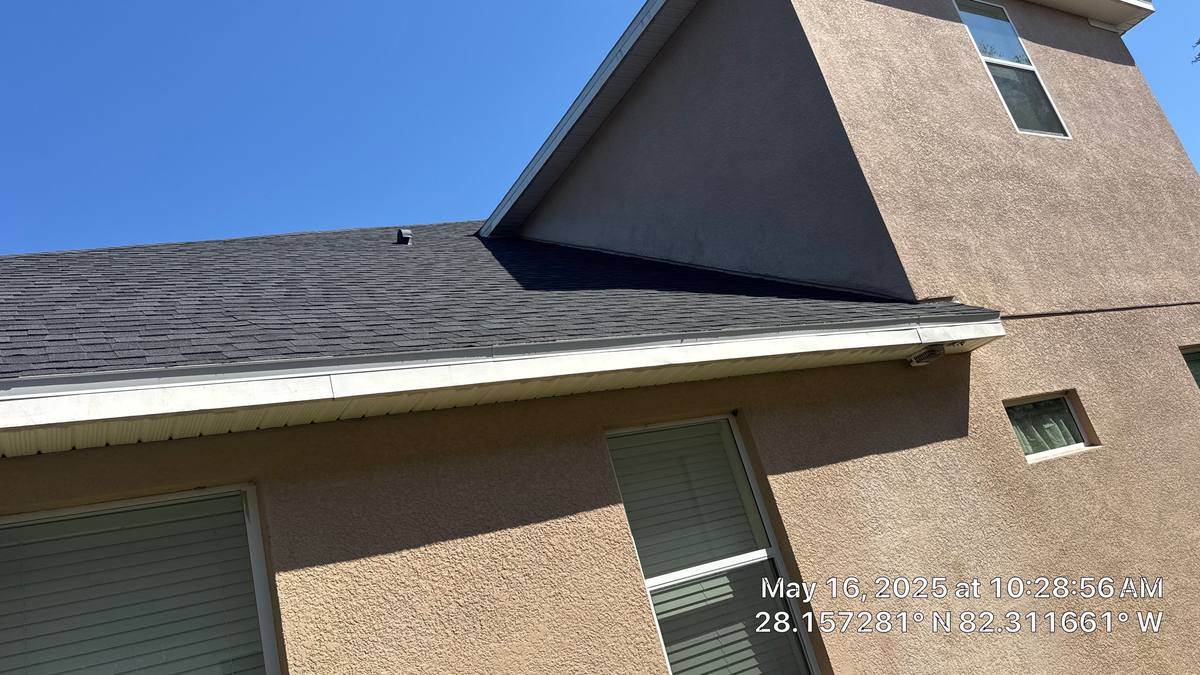 shingle roof replacement in Tampa, Florida
