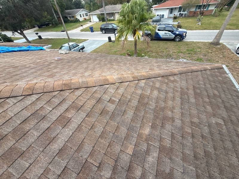 shingle roof replacement in Port Richey, Florida
