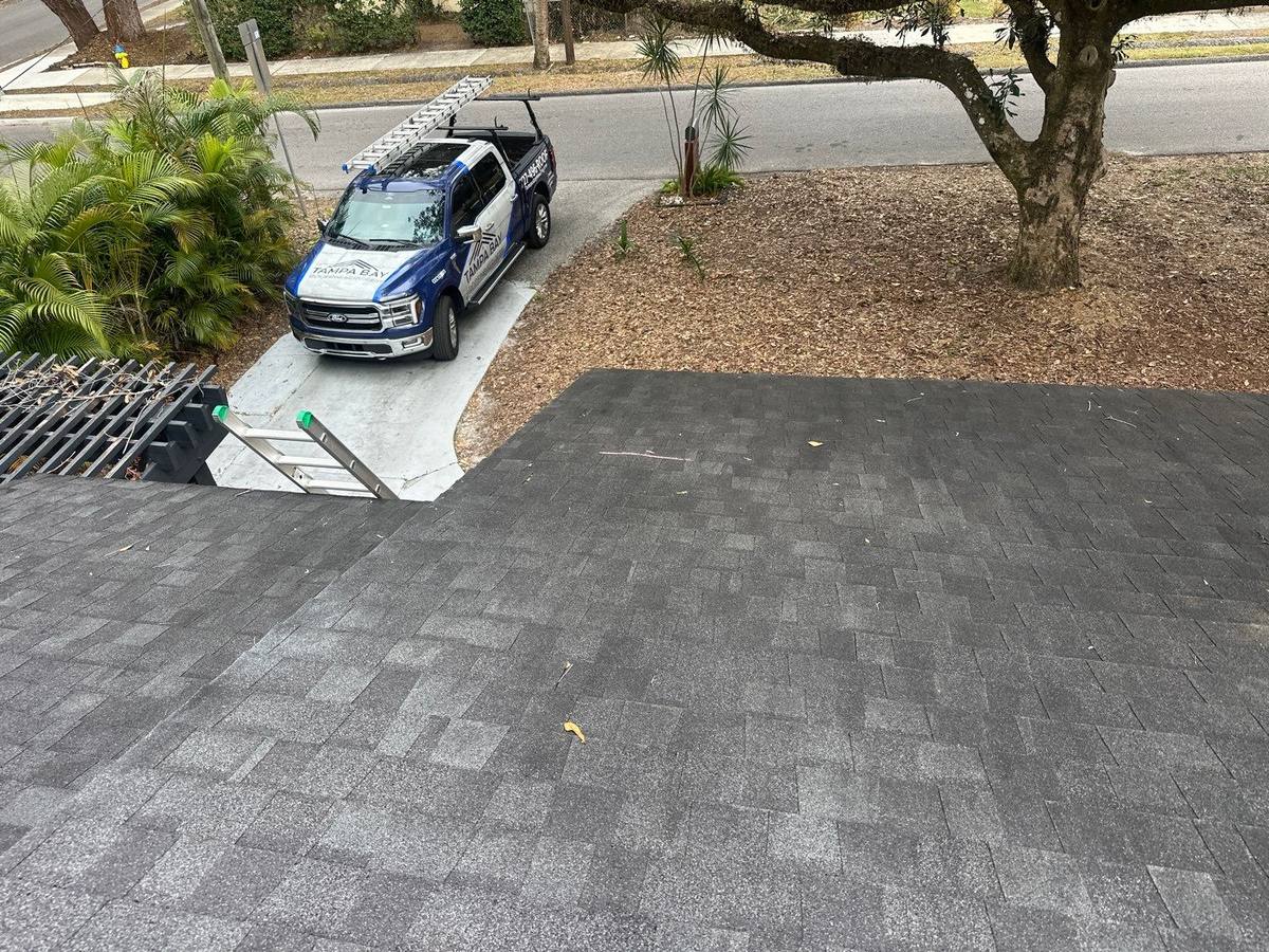 shingle roof replacement in Tampa, Florida