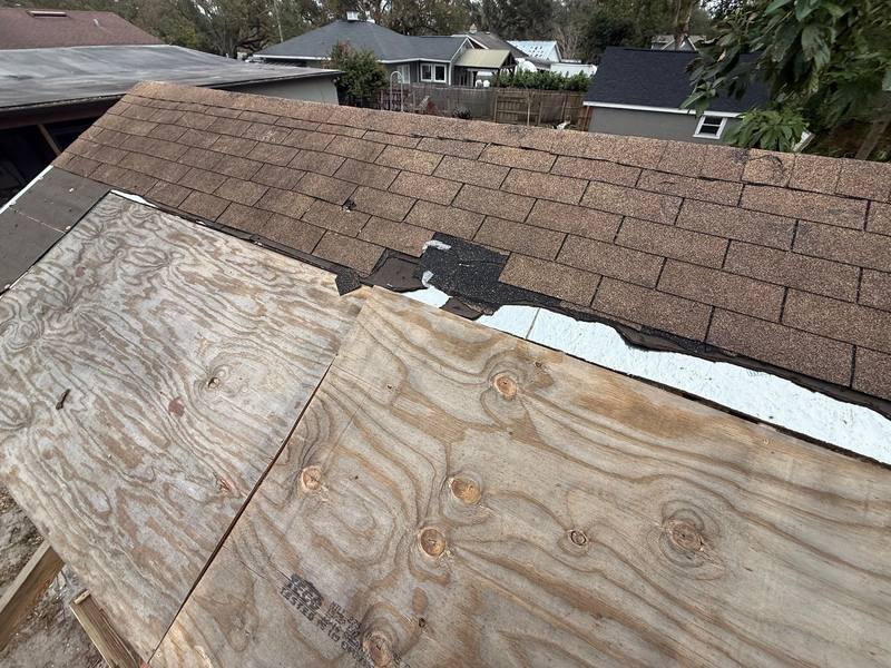shingle roof replacement in Tampa, Florida