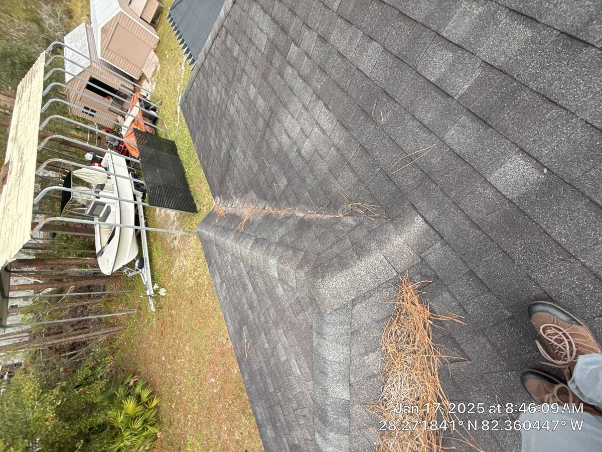shingle roof replacement in Wesley Chapel, Florida