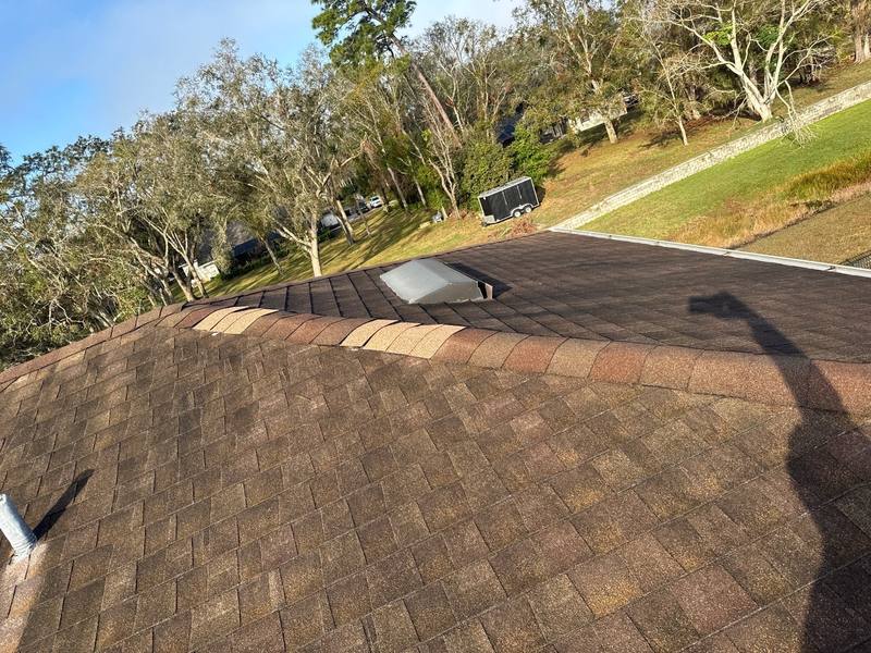 residential roof repair by Hloska Roofing in Lutz