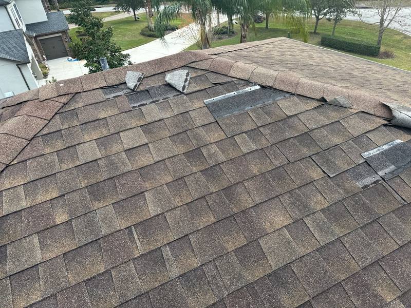 residential roof repair by Hloska Roofing in Lutz