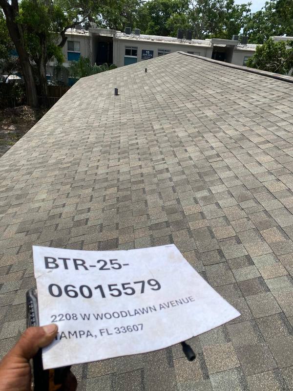 shingle roof replacement in Tampa, Florida