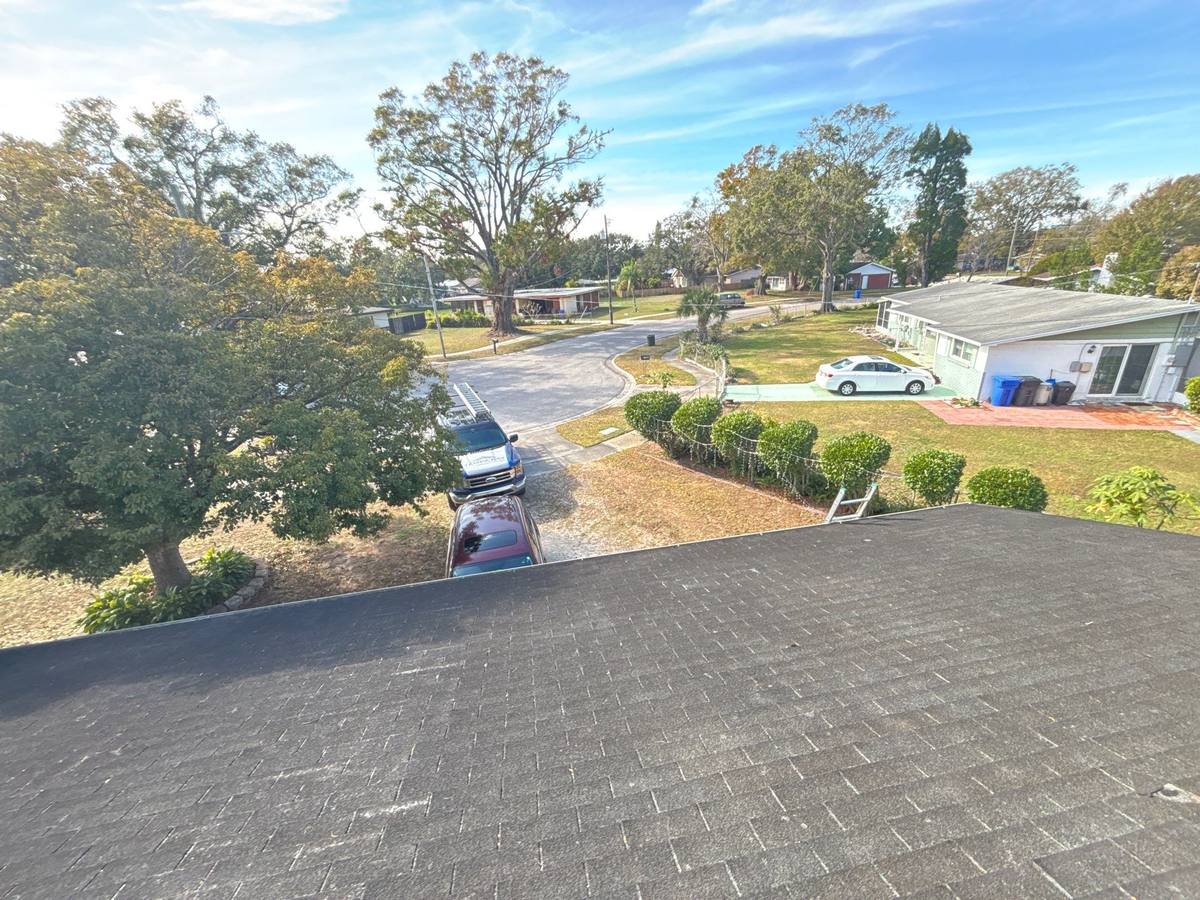 shingle roof replacement in Tampa, Florida