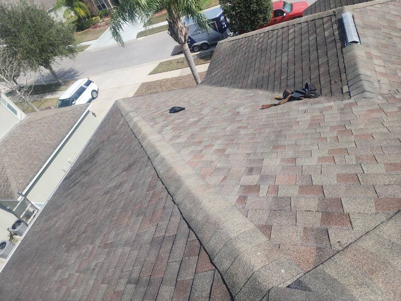 residential shingle roof replacement by Hloska Roofing in Spring Hill